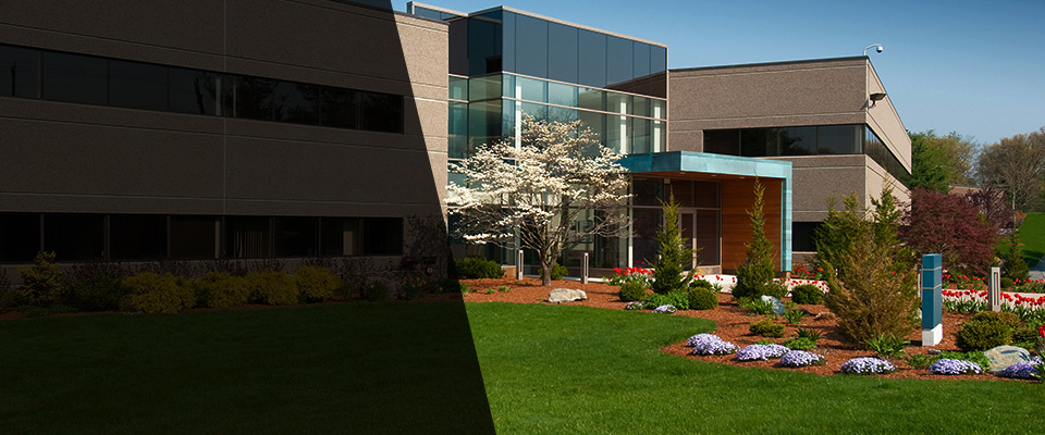 Morriston Landscapers