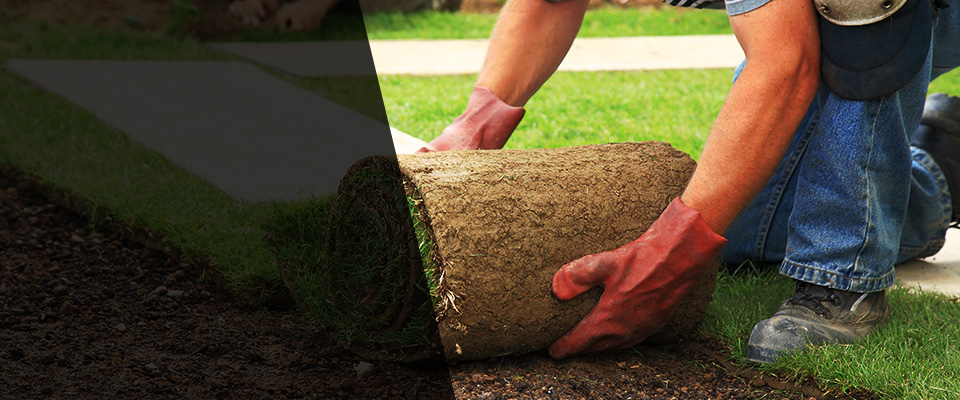 Morriston Landscapers